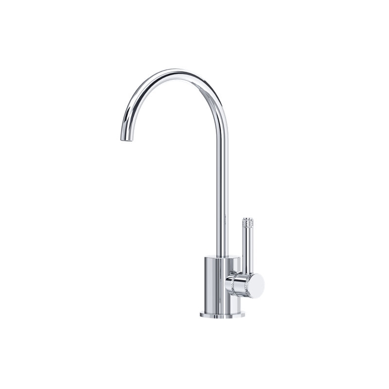 AllModern Jacalyn Kitchen Faucet Side Spray, Polished Chrome
