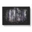 Conifer Tree Forest Vol.1 Paint Splash - Wrapped Canvas-61883944