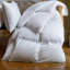 Cornwall Goose-381569154