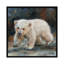 «Polar Bear Baby», impression sur toile-33109701-72398471-72398472