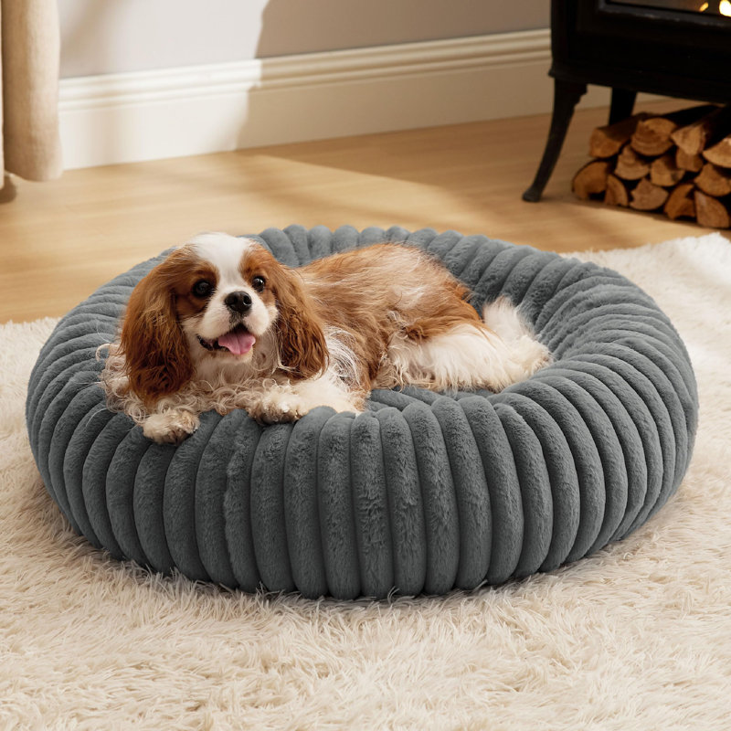 Lit pour chien Bedsut Donut, Épice citrouille, M (H 8 po x l 30 po x P 30 po)