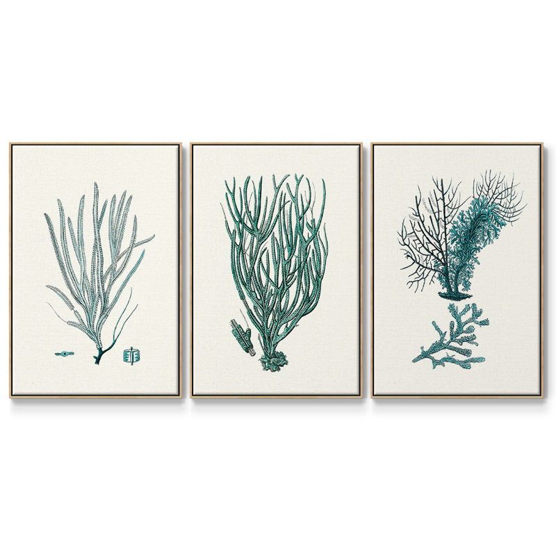 Ensemble de 3 toiles tendues à motif de corail antique, Naturel, H 40 po x l 78 po