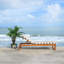 Chaise longue simple inclinable en eucalyptus avec coussins 80,9 po Faunce-2138730163-2144100989