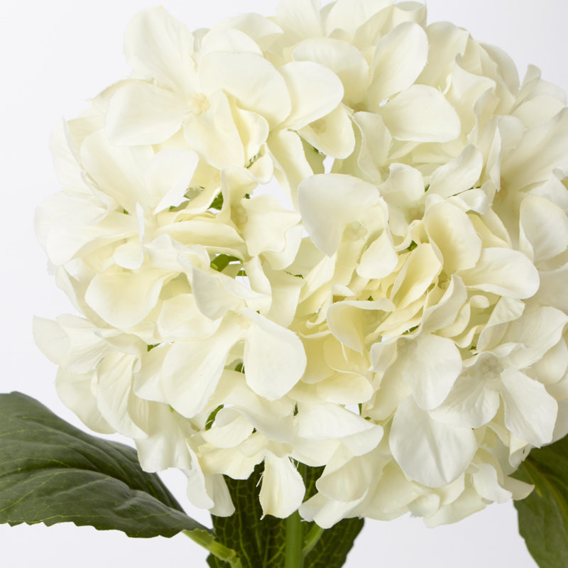 Tige de hortensias artificielle, Ivoire