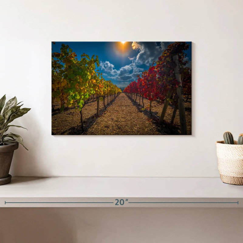 Yarlin Vineyard, H 8 po x l 12 po