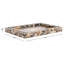 Lori Resin/Mdf Tray Set 2