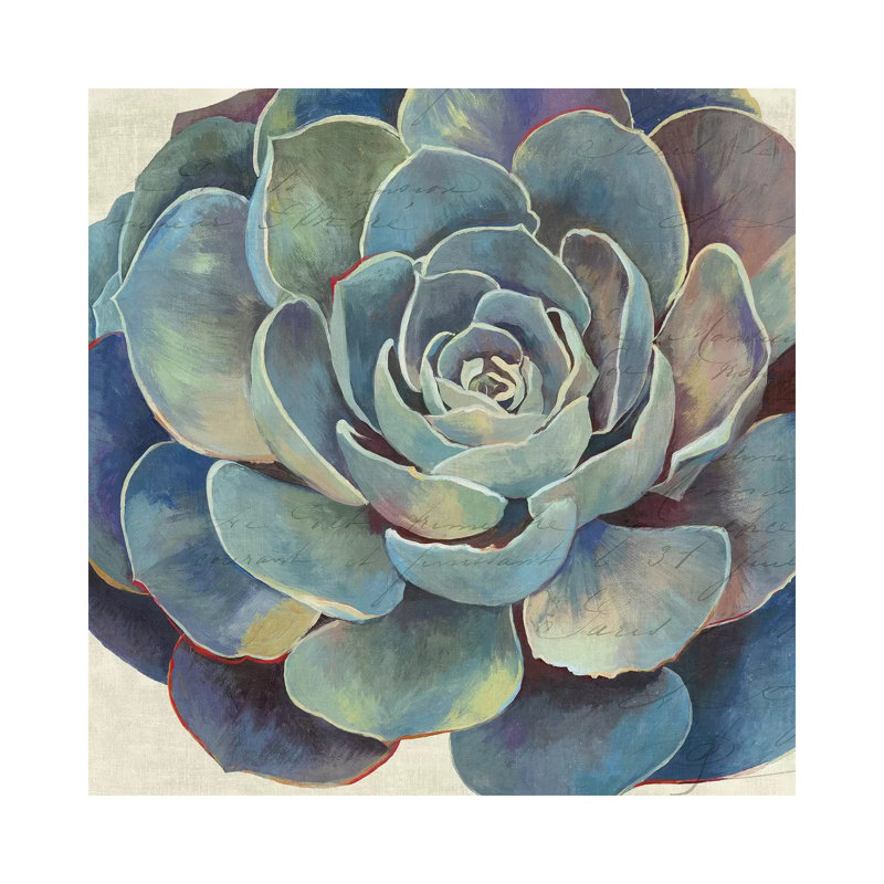 Succulence I by Aimee Wilson - Wrapped Canvas Painting, 30.48 cm H x 30.48 cm W