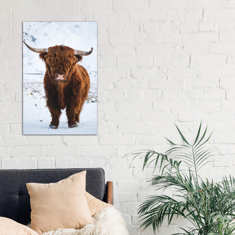 Highland Cattle I - Print on Canvas, No Frame, 101.6 cm H x 66.04 cm W x 3.175 cm D