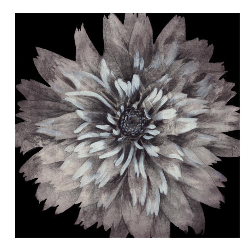 Starburst Floral II Print by Chelsea Art Studio, 24" H x 24" W x 1.5" D, Plexi