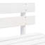Adelaida Solid Wood Pine Outdoor Bench-1985795888