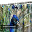 Rideau de douche Peacock Wild India-2022305418