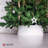 Solid Color Plastic Tree Collar-50922477-50922478