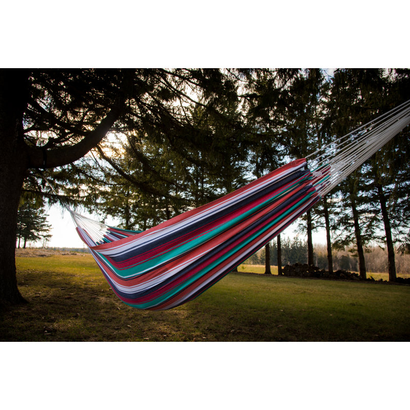 Hamac pour arbre double style Lewes, H 2 po x l 63 po x P 144 po, Plumeria