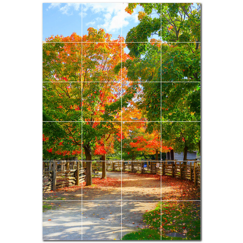 6 x 6