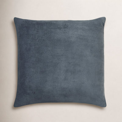 Denny Velvet Throw Pillow 