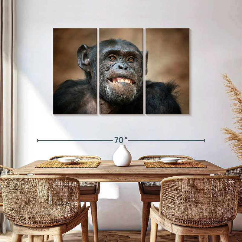 Funny Chimpanzee
