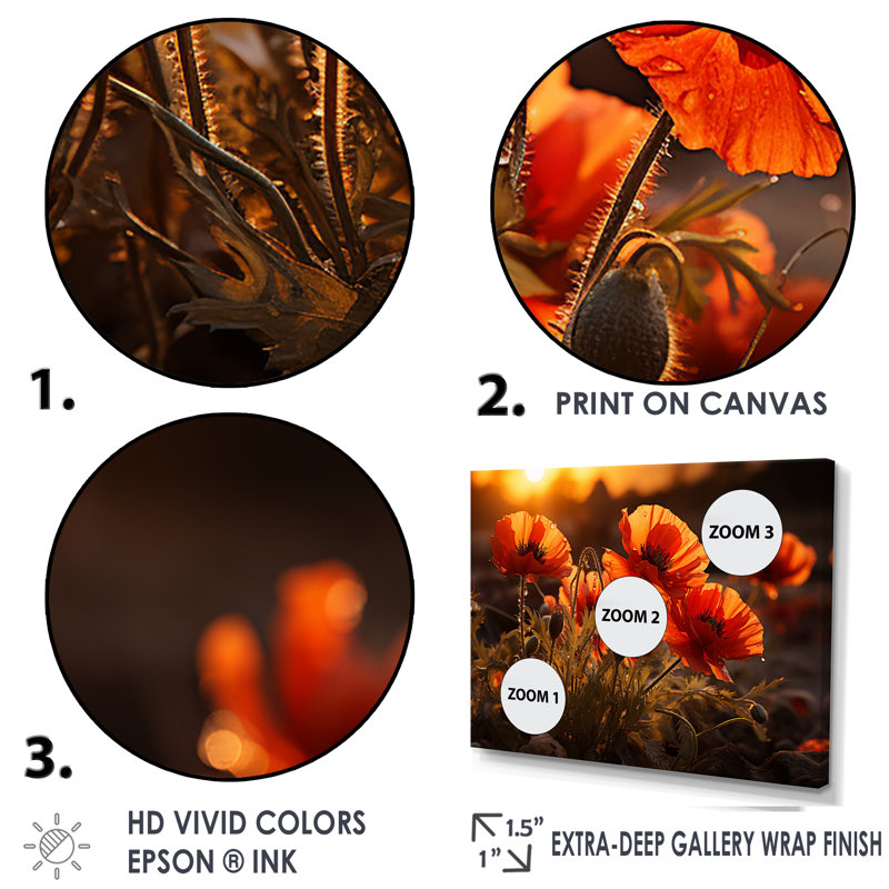 Coucher de soleil coquelicots dans la prairie, Cadre simple blanc, H 16 po x l 32 po x P 1 po