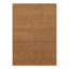 Area Rug in Brown