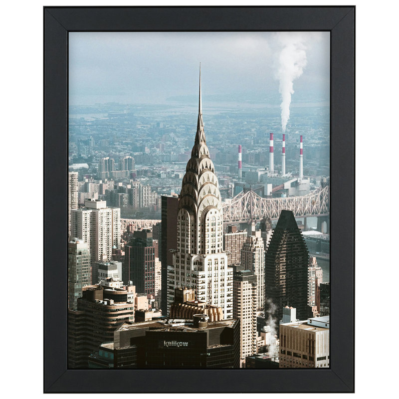 Canchola Satin Single Image Picture Frame, 10" W x 13" H, Rectangle, Black