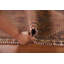 Antique Traditional Rug 3x6