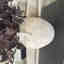 Customer photo 2 of 2