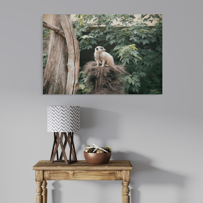Sitting Meerkat at the Zoo, 12" H x 18" W