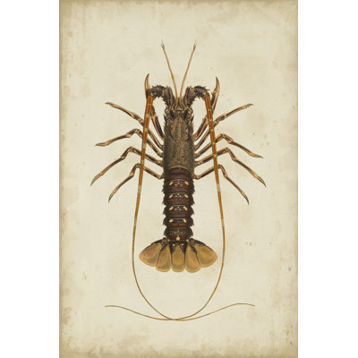 Crustaceans II 1 Piece Wrapped Canvas Painting