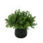 Faux Boxwood Plant in Glass Vase