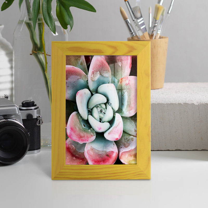 Pastel Succulent Beauty V, reproduction d'art sur papier, H 6 po x l 4 po x P 1 po, Jaune