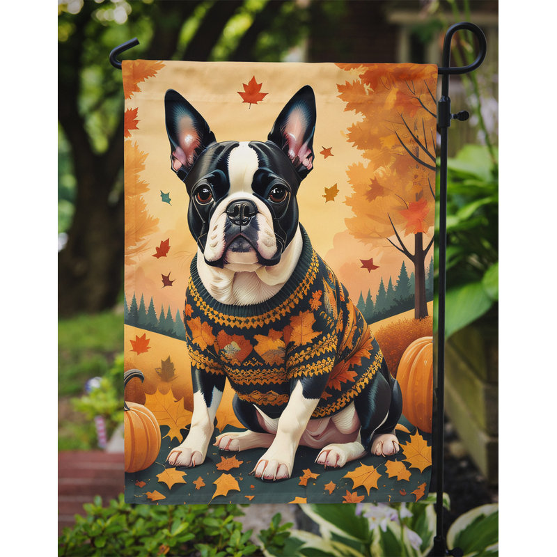 Drapeau de Boston Boston Terrier