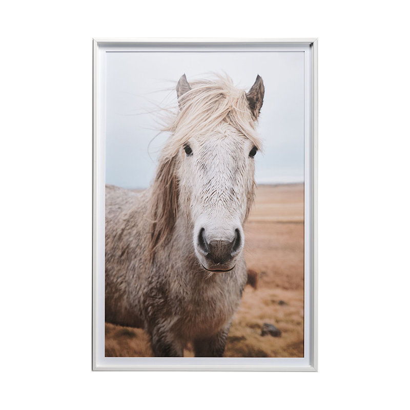 49822 Heida I by Laura Marshall a Framed Art Print Matted under Glass, No Matte, 49822 Heida I