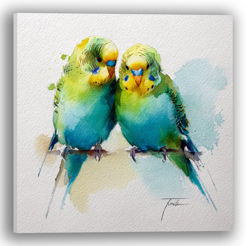 "Sweet Budgie", art mural sur toile tendue, 20"W x 20"H x 1.5"D