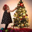 Alzahra 600cm LED Battery Powered 40 - Bulb Fairy String Light