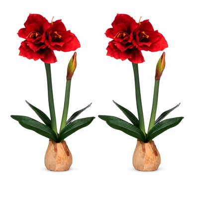 Set of 2 Faux Red Amaryllis Bulb Plants with Realistic Blooms