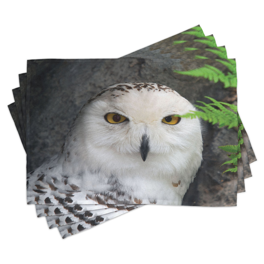 Platzdeckchen 4er Set, Magier Pet White Owl, Weiß Grün Schwarz