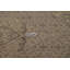 Tapis beige en laine noué à la main de conception unique 6 pi 2 po x 9 pi 6 po années 1960 Caelan
