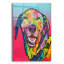 Hokku Designs «Zoomies Expert» par Dean Russo, art mural en verre acrylique, ACR-45943-874228672
