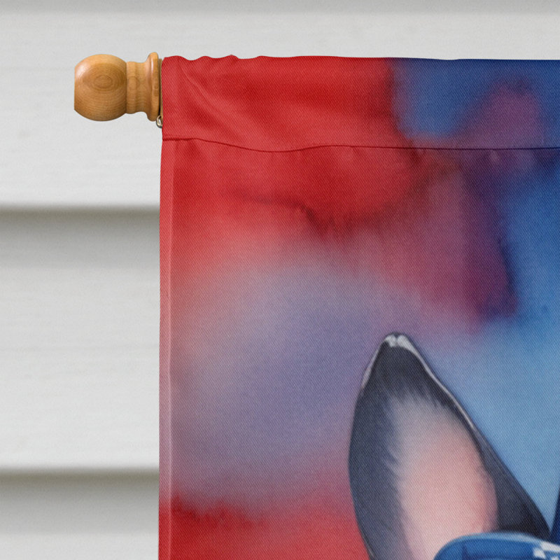Drapeau patriotique de la maison américaine, Boston Terrier bleu