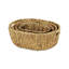 Ensemble de 4 bacs en ruppie maritime