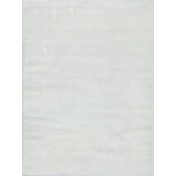 Luxe Shag Powerloom Microfiber/Polyester Area Rug in Ivory