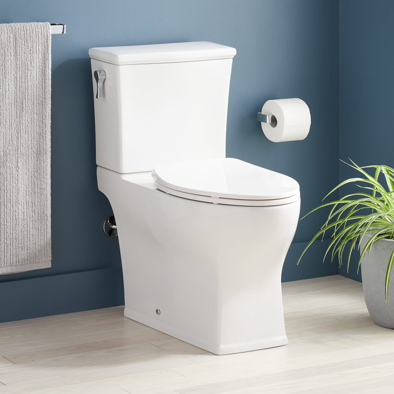 Carraway Two-Piece Skirted Elongated Toilet