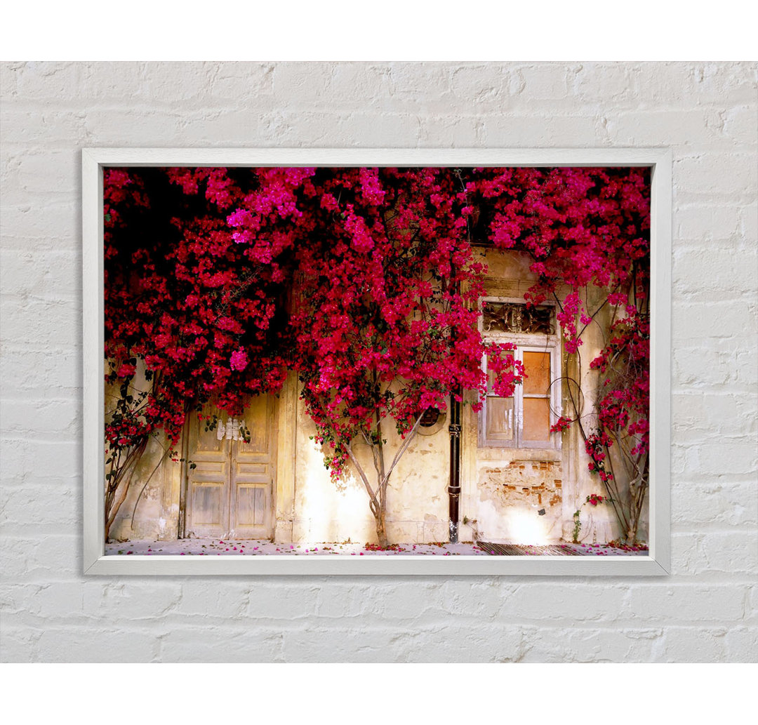 Italian Farmhouse Beauty - Einzelner Bilderrahmen Kunstdrucke auf Leinwand