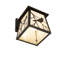 1 - Light Armed Sconce