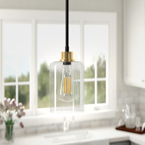 Terri-Anne 1 - Light Single Pendant(missing glass )