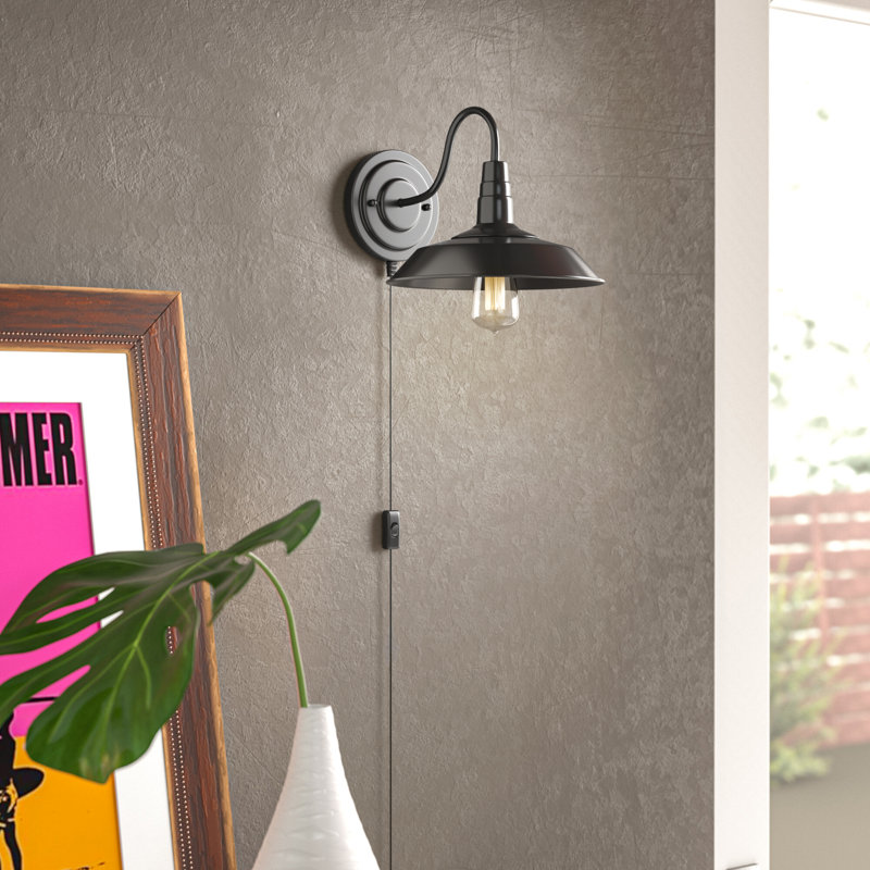 Hollandale Plug-in Barn Light