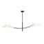 Wildhollow 2 - Light Chandelier-2068893092