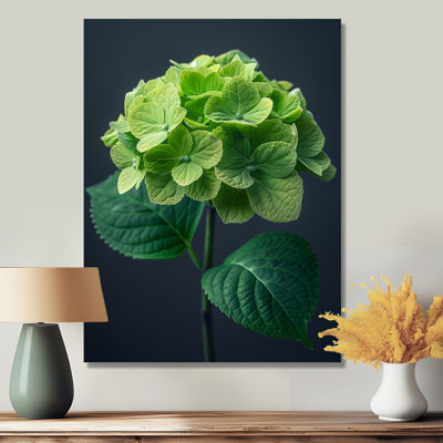 Élégant emblème vert gris hortensia, art mural hydrangées