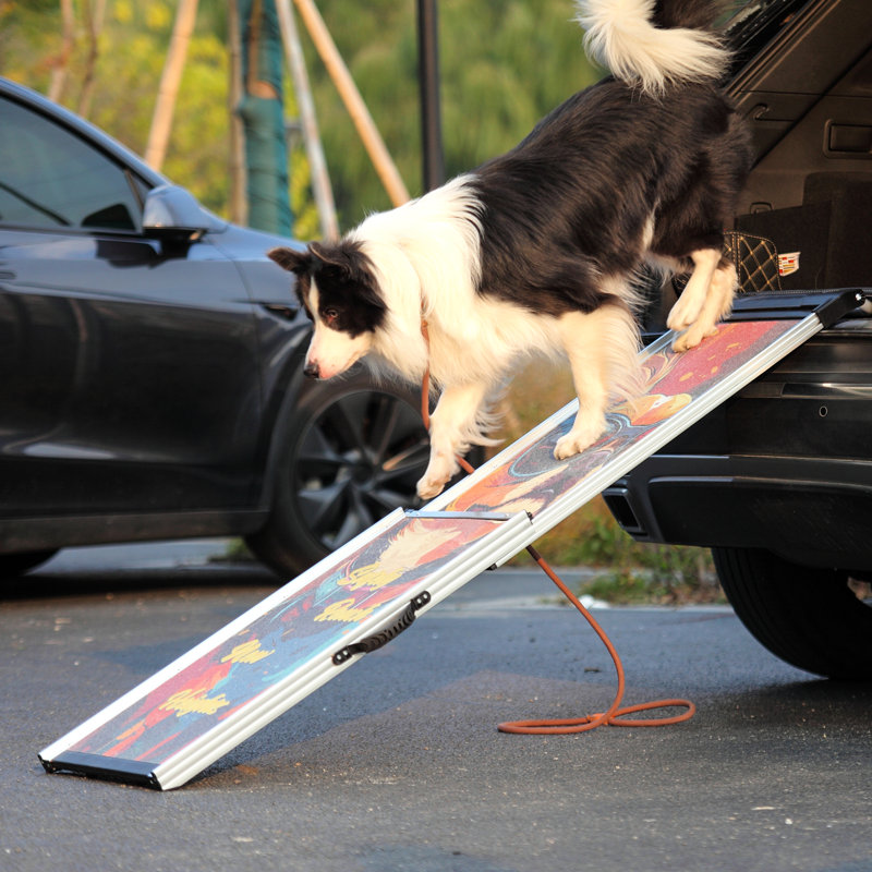 Rampe rétractable pour animaux de compagnie pour véhicules utilitaires sport, surface antidérapante et structure stable, décorée avec des motifs sympas de marches télescopiques, sangle en tissu, chats de chiens âgés convenables
