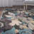 Paradise Performance Floral Rug-19262859