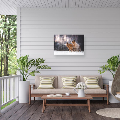 Natalie Grosse Snowing Outdoor  Canvas